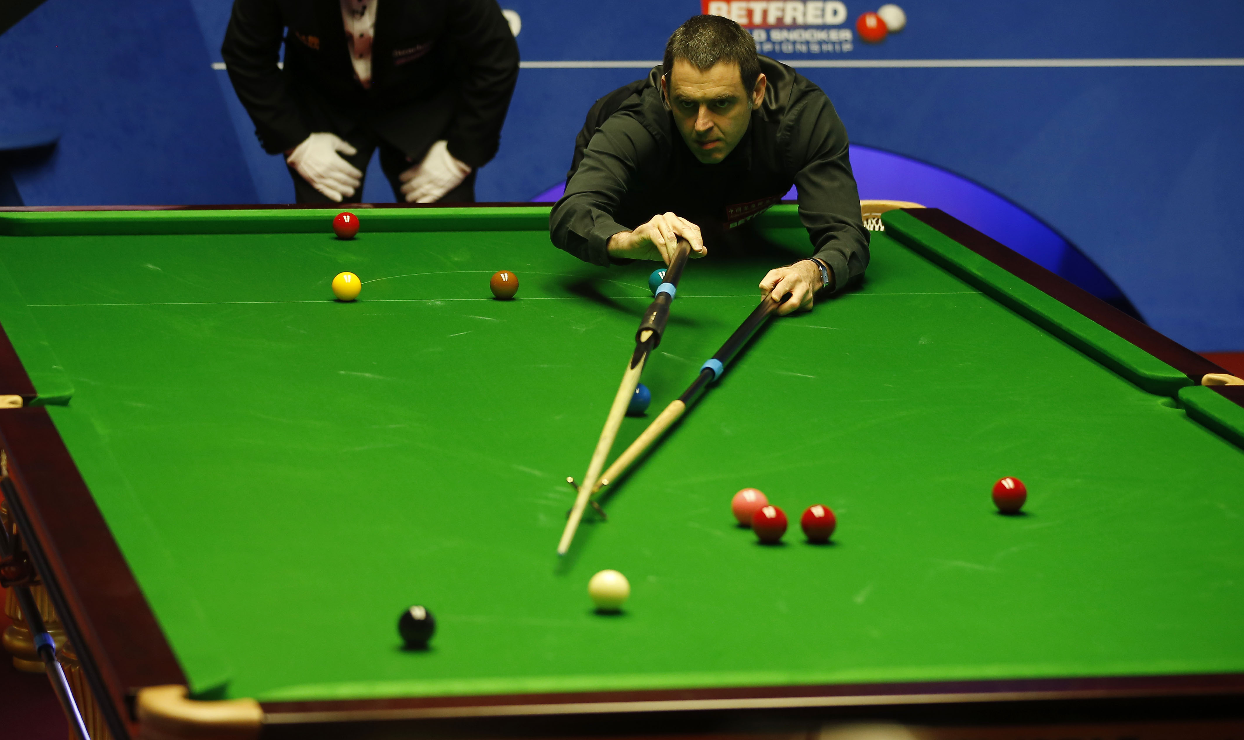 篮未来两到 篮未来两到