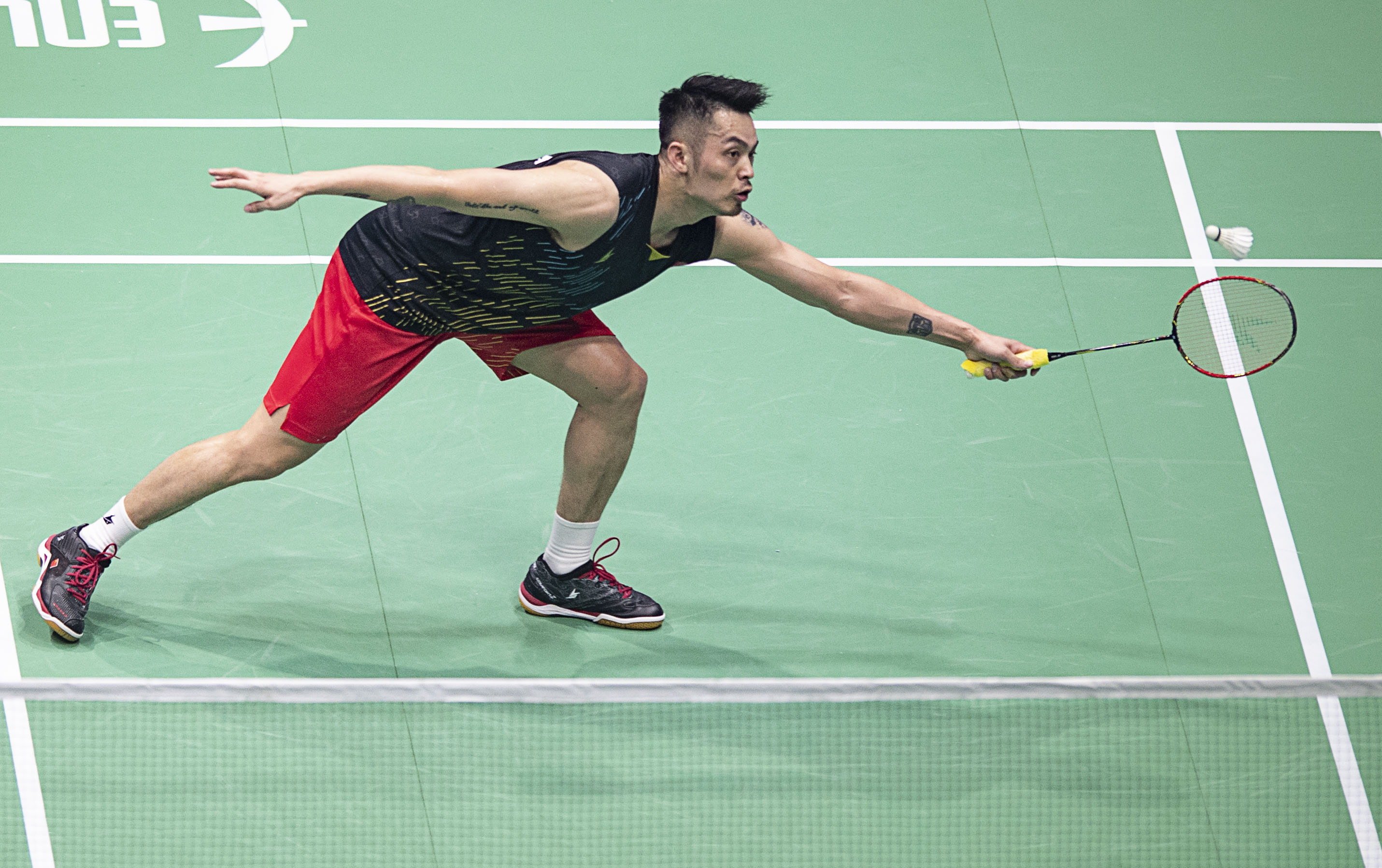 他们有望再 他们有望再