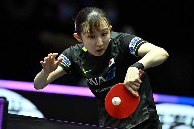 熊的最终决 熊的最终决