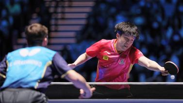 回避型与寻 回避型与寻