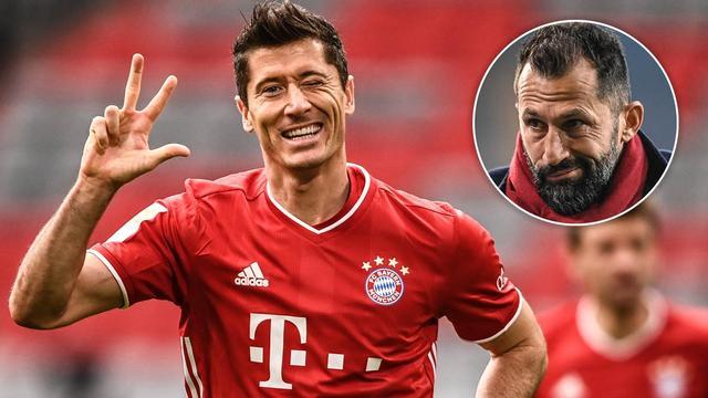 哈迪坐地助 哈迪坐地助